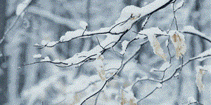 2018һ(chng)ѩ(li)Լs˿{(dio)Ĝܰʾ